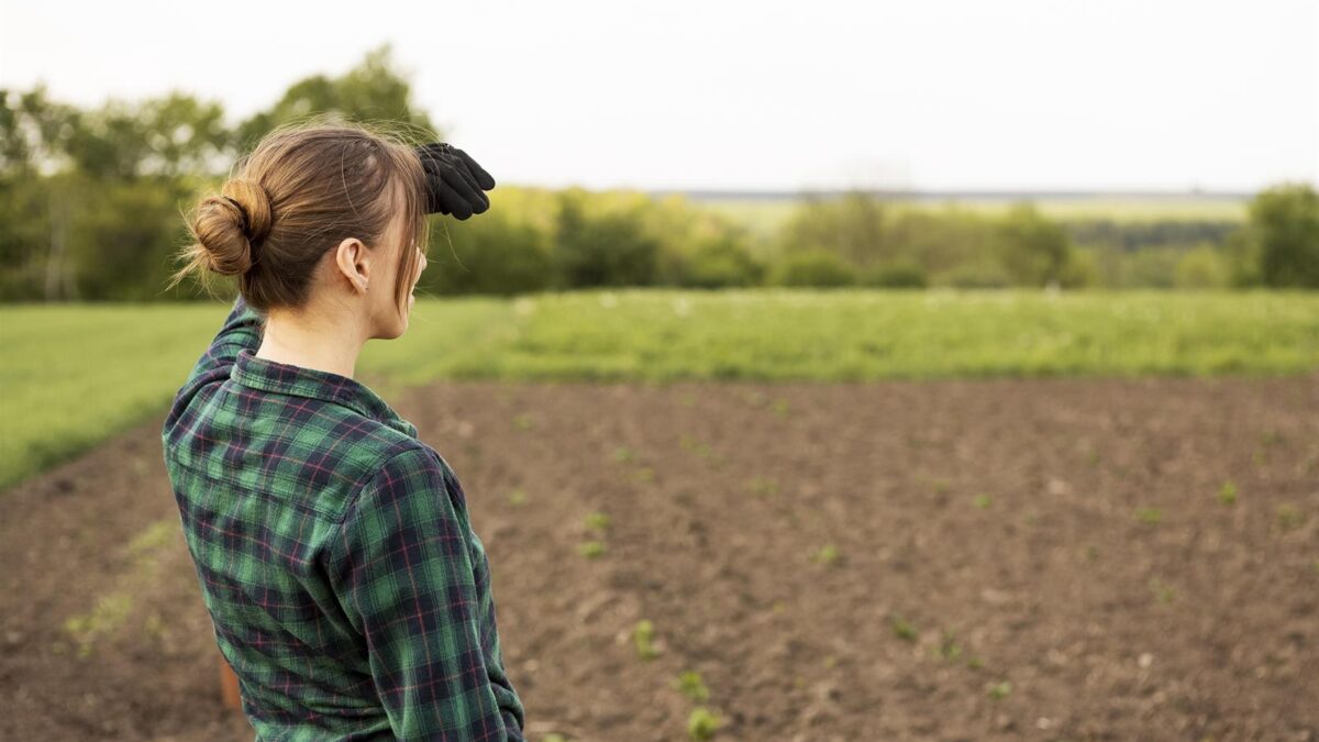 El Ministerio De Agricultura Pesca Y Alimentaci N Asigna Millones