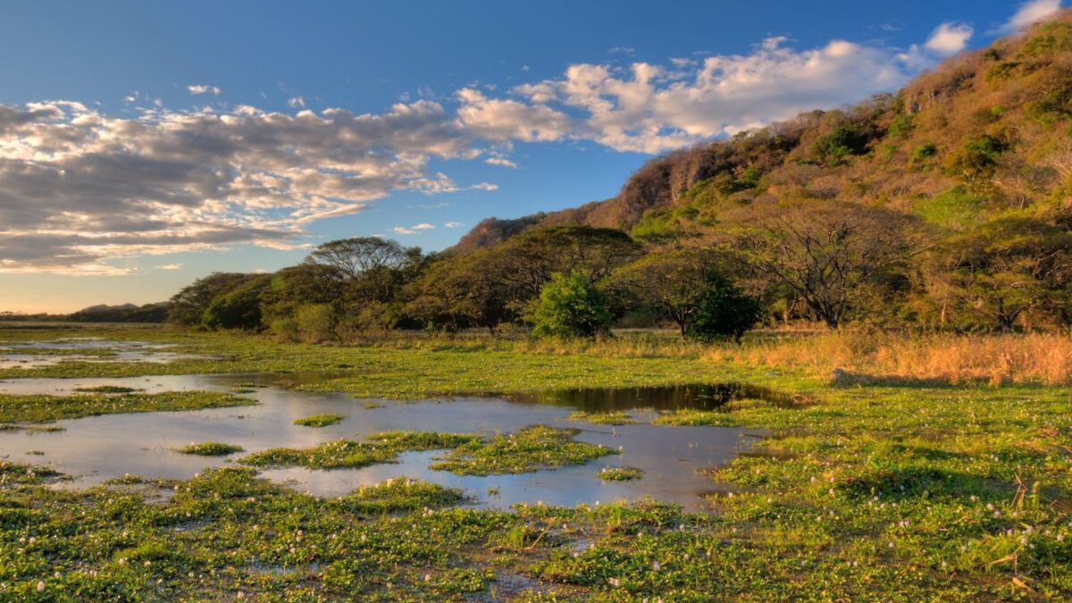 Las Llegadas De Turistas Internacionales A Costa Rica Crecen Un