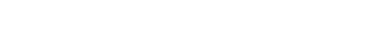 The Newsroom Logo