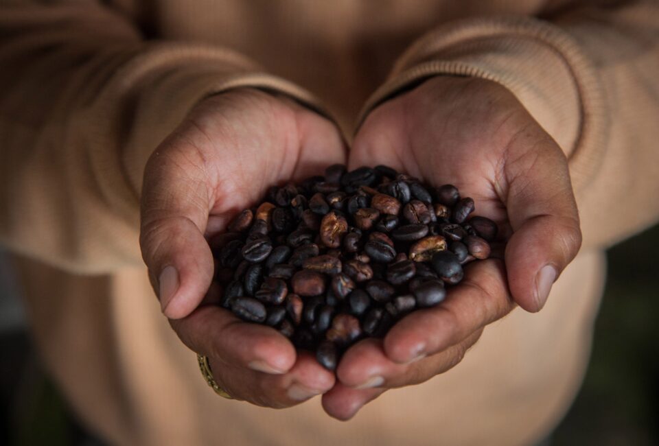 Javier de las Muelas y Paolo Casagrande elevan el café de la alta gastronomía junto a Lavazza