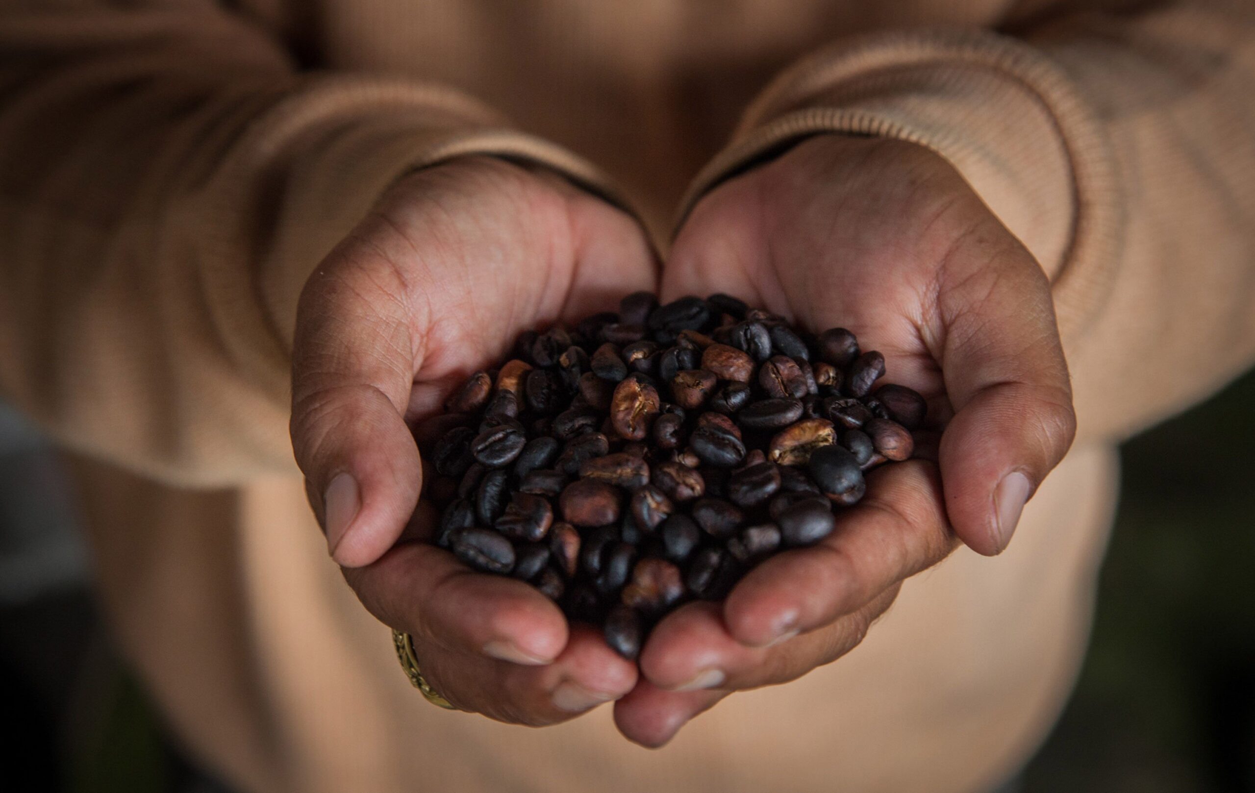 Javier de las Muelas y Paolo Casagrande elevan el café de la alta gastronomía junto a Lavazza