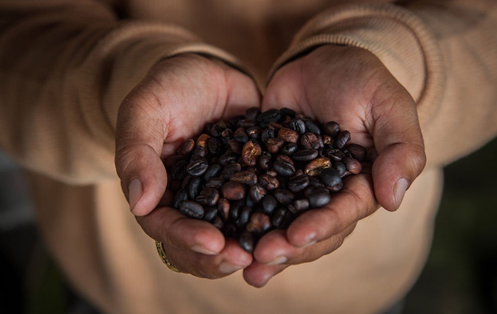 7 beneficios del café que desconocías