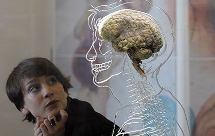 Ser un CEO puede causar daño cerebral, según los científicos