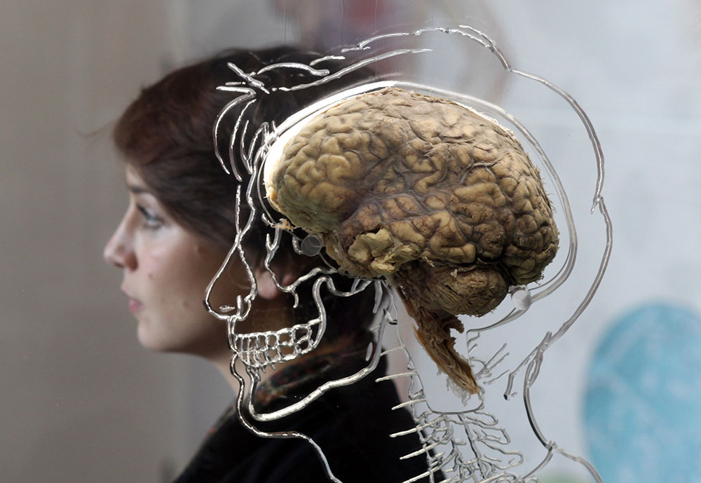 15 datos sorprendentes sobre el cerebro humano