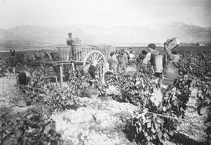 El Medoc Alavés, un proyecto para mostrar al mundo cuál es el mejor vino