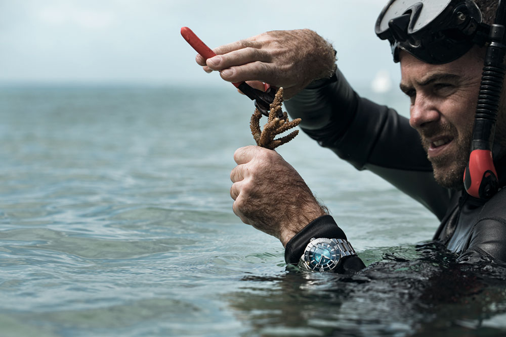 Relojes para salvar los océanos