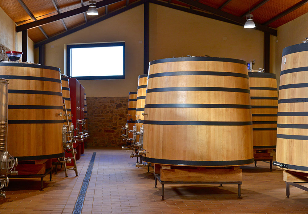 Fuentes del Silencio apuesta por el Valle del Jamuz