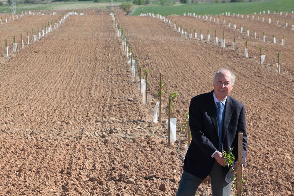 Hombre del día: Josep Pont Amenós, CEO de Pont Family Holding