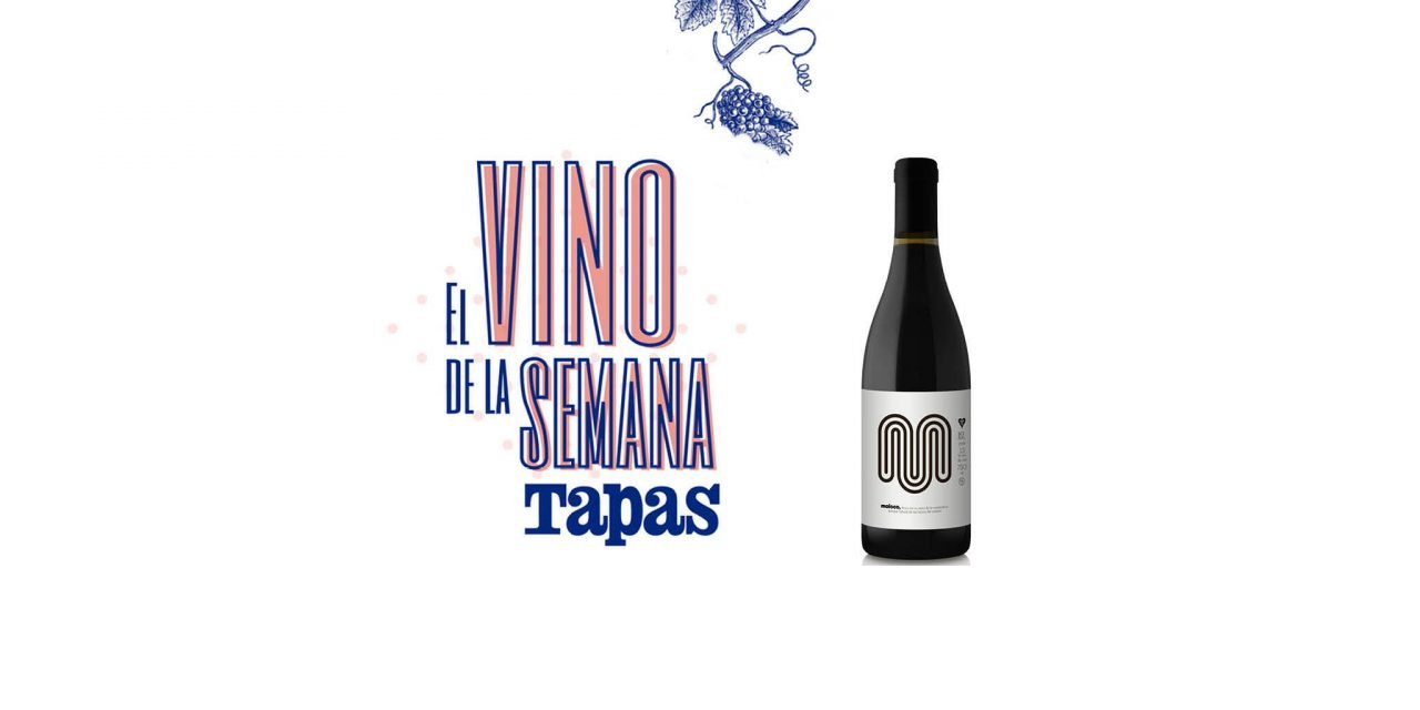 Maloco 2019, el vino de la semana para la revista Tapas