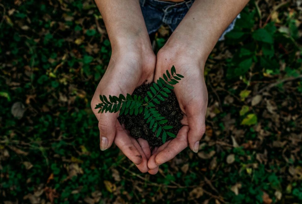 12 datos para entender por qué cuidar el medioambiente es un trabajo común