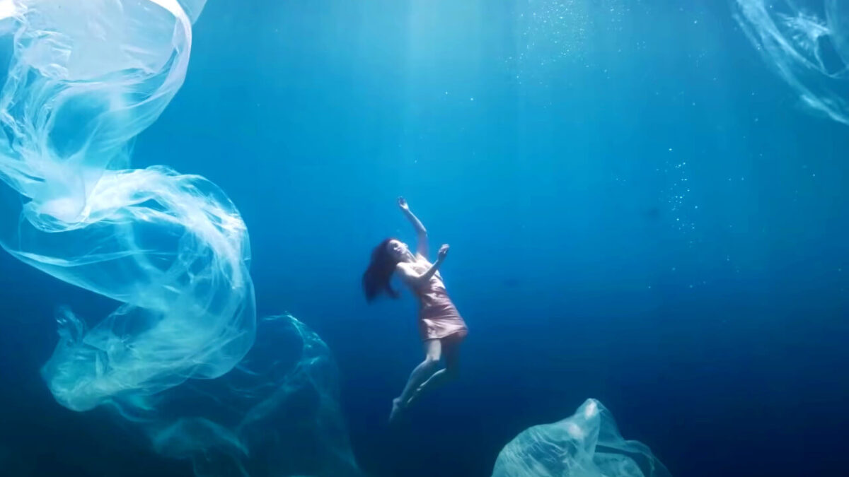 Estos son los galardonados de los Premios C de C 2020