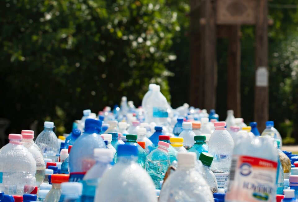 Botellas de plástico. Sostenibilidad. Foto: Mali Maeder (Pexels)