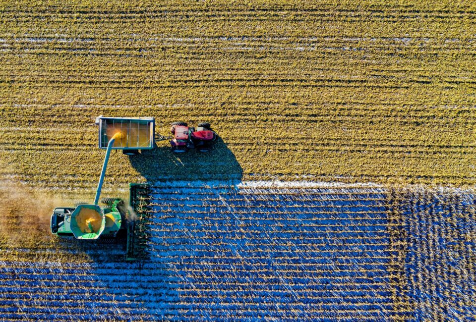 Agricultura. Campo. Foto: Tom Fisk (Pexels)