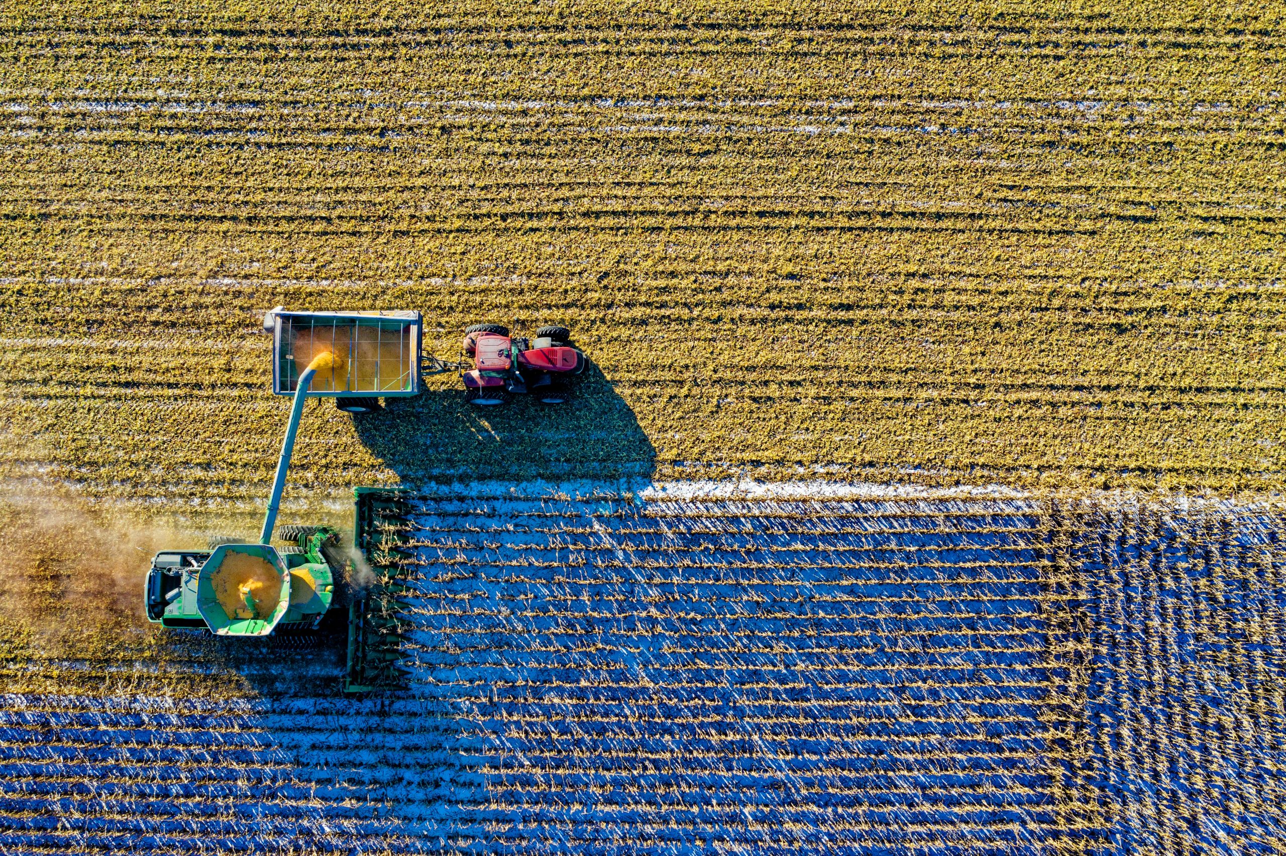 Agricultura. Campo. Foto: Tom Fisk (Pexels)