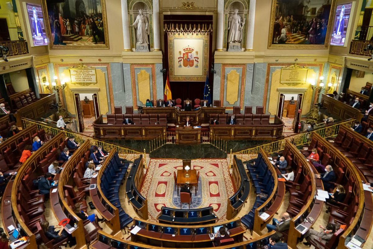 Pleno del Consejo en el debate de Presupuestos Generales del Estado para 2021. Foto: www.congreso.es