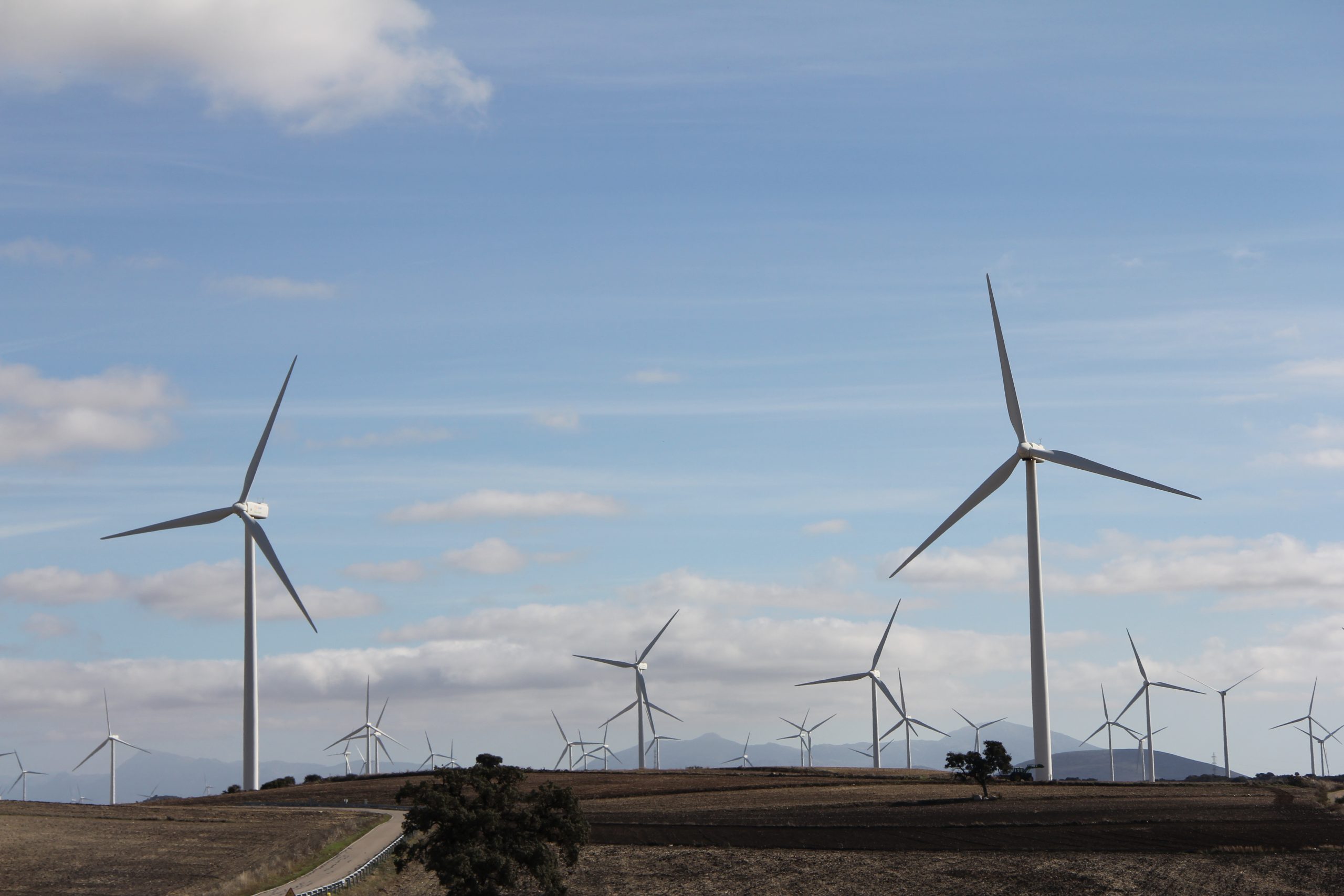 Así ha conseguido Endesa reducir un 85% sus emisiones