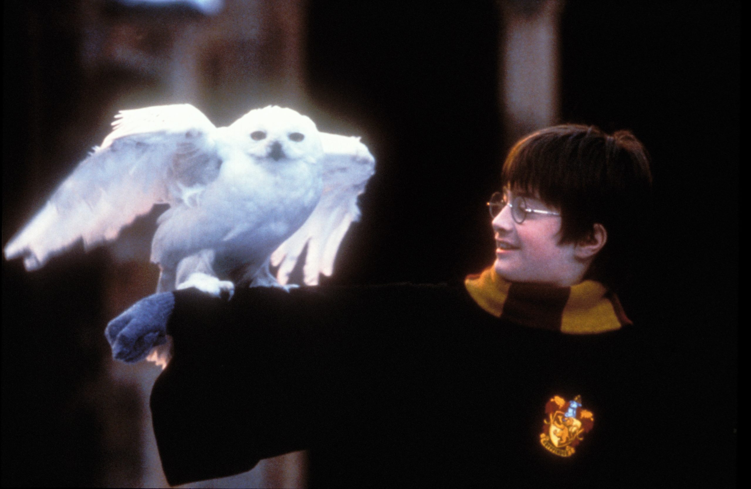 ¿Deberían los fans de ‘Harry Potter’ boicotear ‘Hogwarts Legacy’?