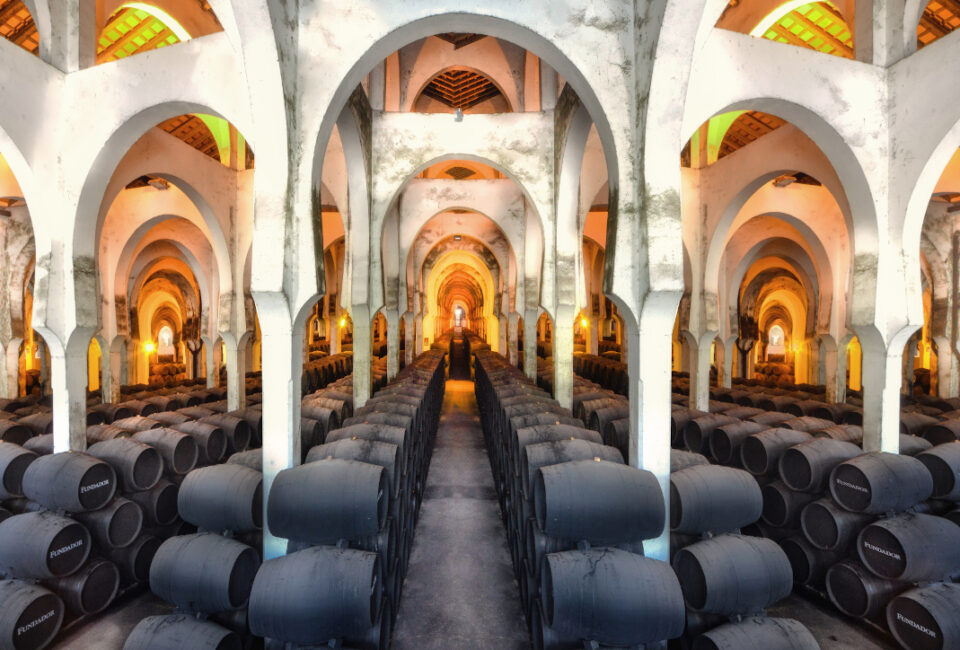 Bodega La Mezquita de Fundador Supremo.