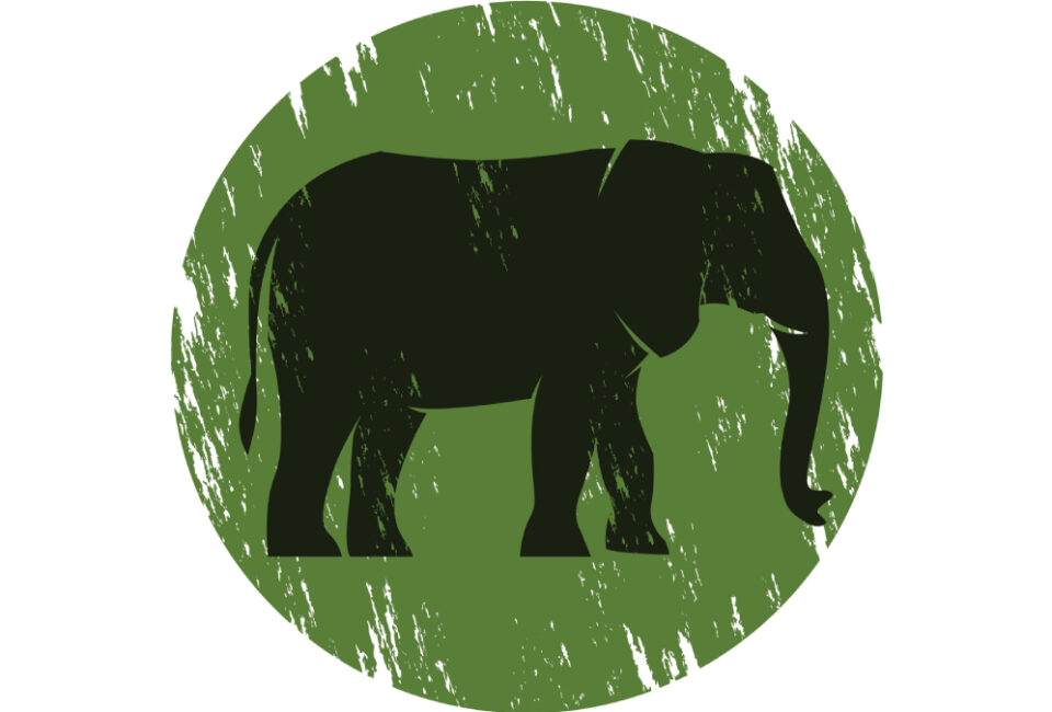 El ‘elephant in the room’ es verde