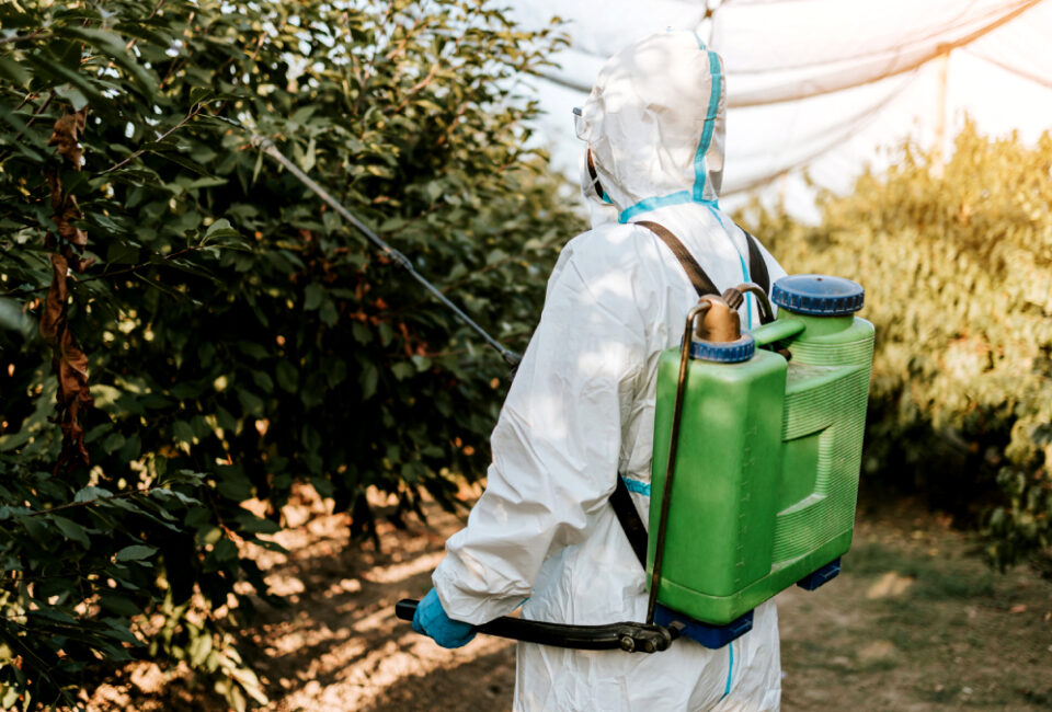 No es sólo el gas: así es la crisis de los fertilizantes a la que se enfrenta Europa