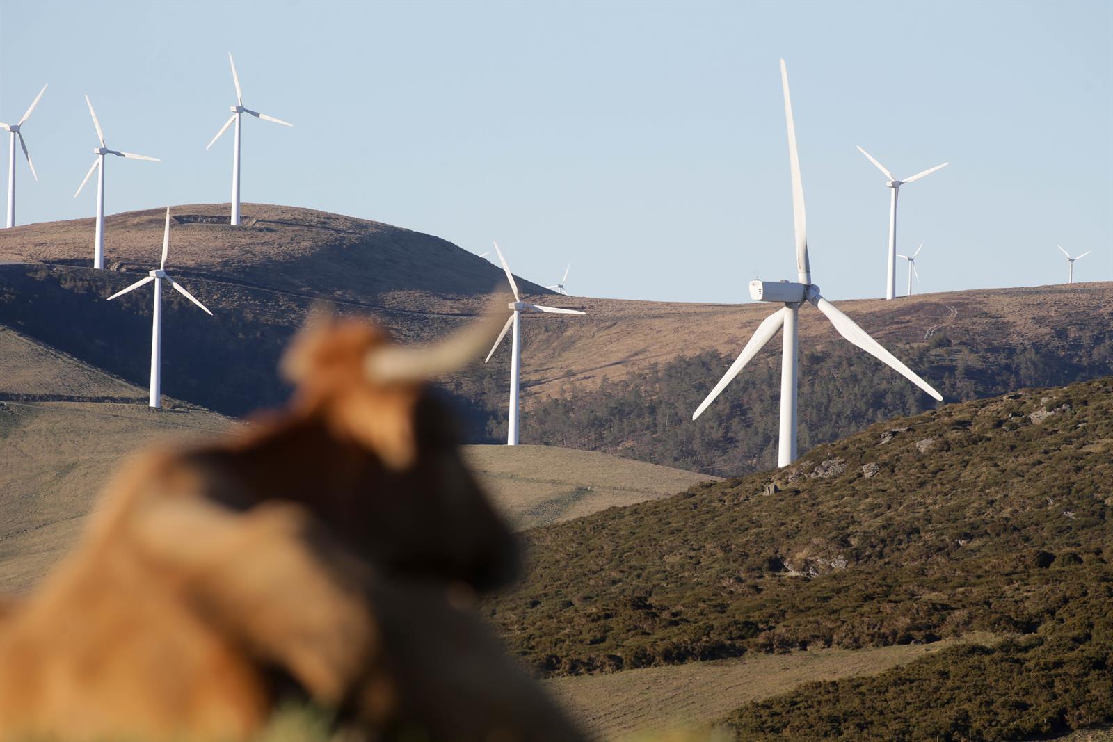 La subasta de renovables adjudica 45,5 MW de los 3.300 MW que había en juego, el 1,37%