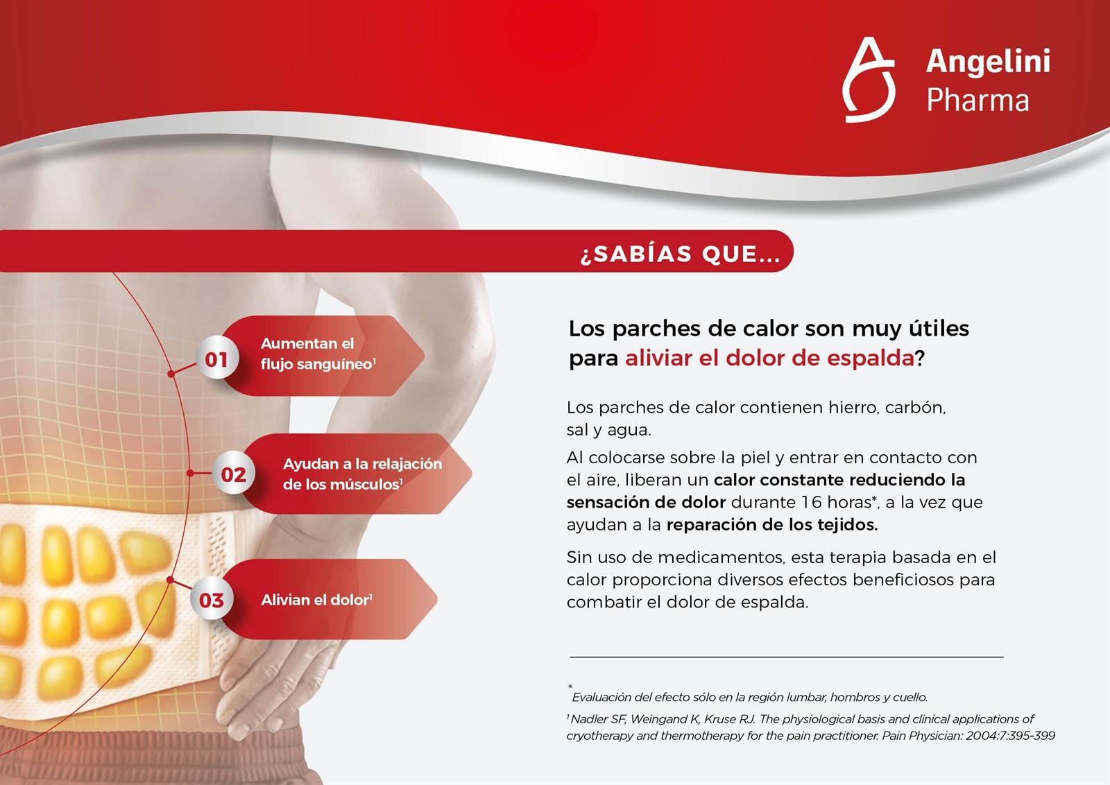 Parches de calor: una gran solución para aliviar molestias y dolor de  espalda - Forbes España