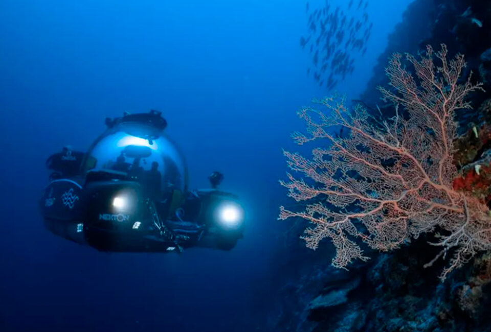 Por qué el proyecto ‘Ocean Census’ va a cambiar el futuro de nuestros mares