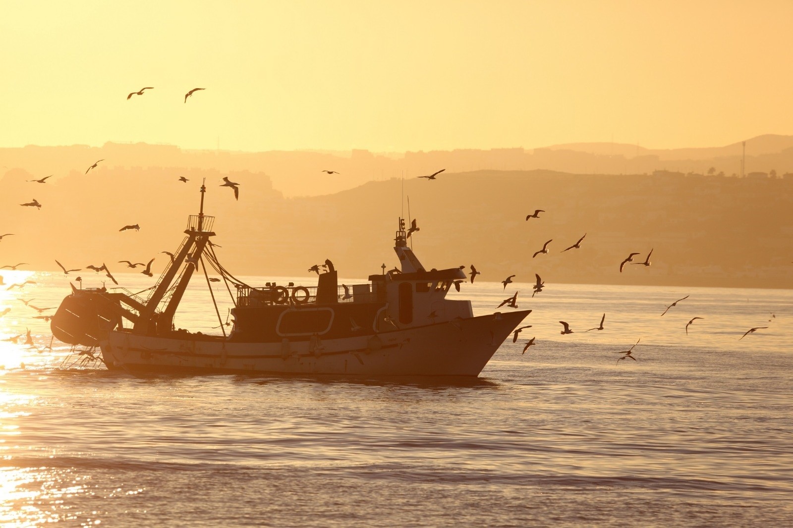 Los 27 dan luz verde al acuerdo de la OMC para prohibir ayudas a la pesca ilegal y no regulada