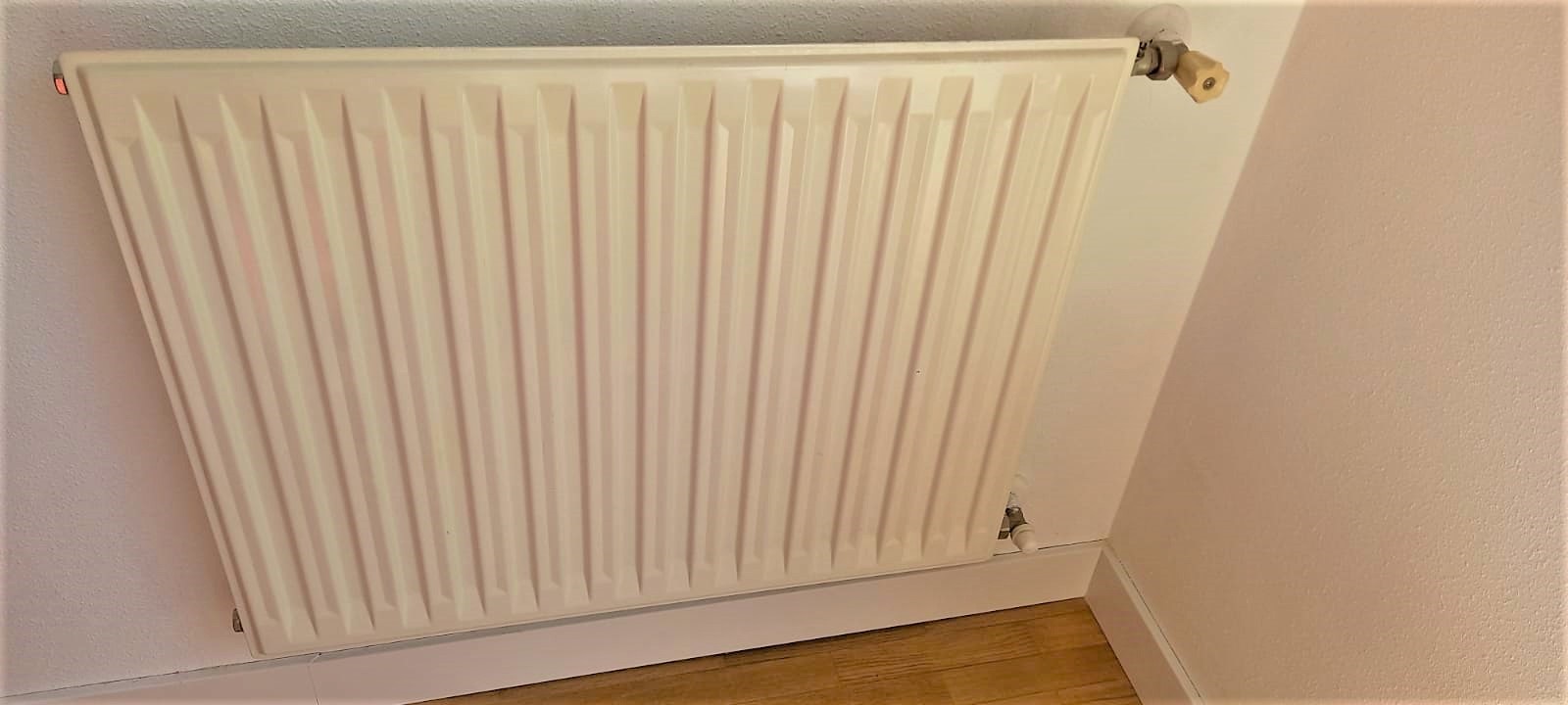 El sector de la calefacción pide apostar por el biometano para descarbonizar el consumo de los hogares