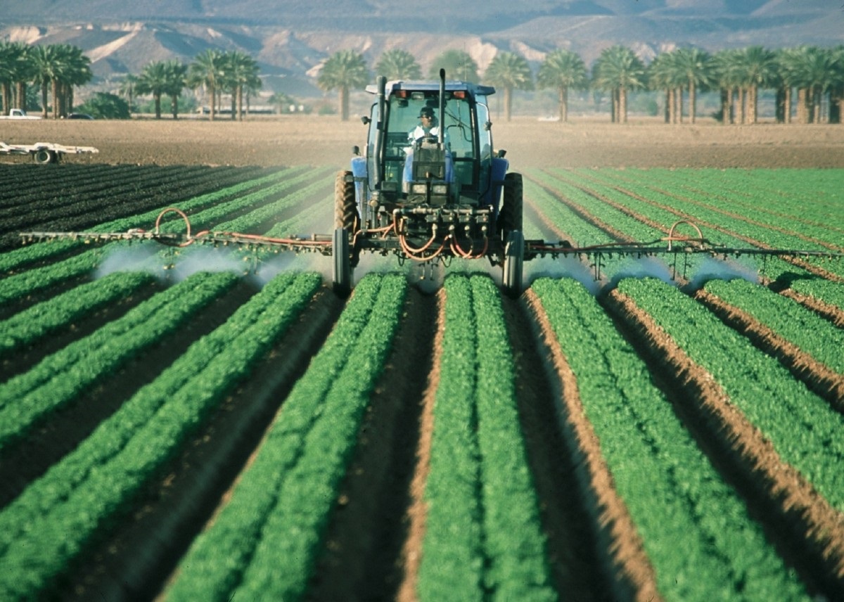 La Eurocámara pide un plan de seguridad alimentaria y más recursos para agricultores
