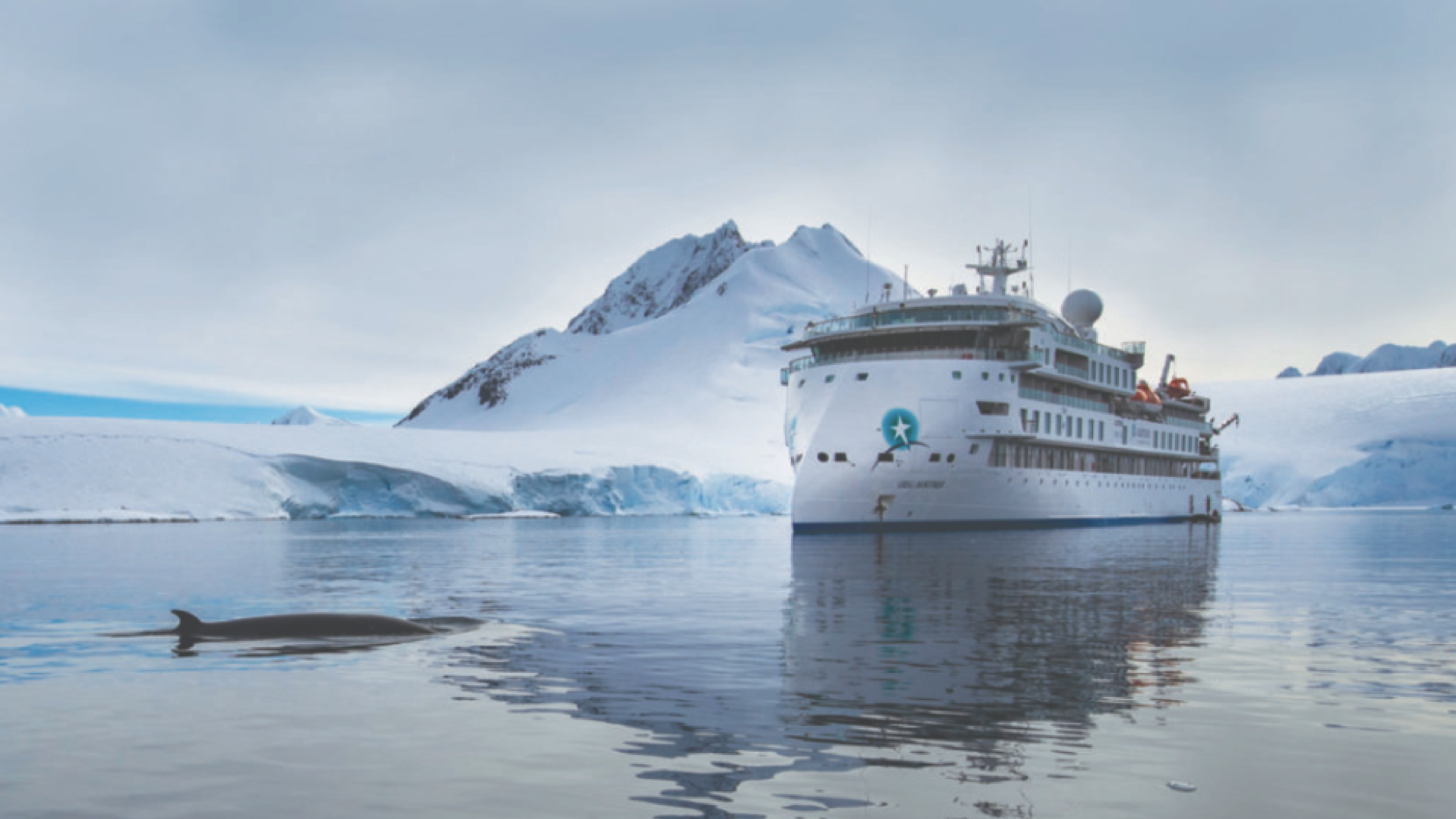 Este es el primer informe de impacto de la línea de cruceros que viaja al Antártico