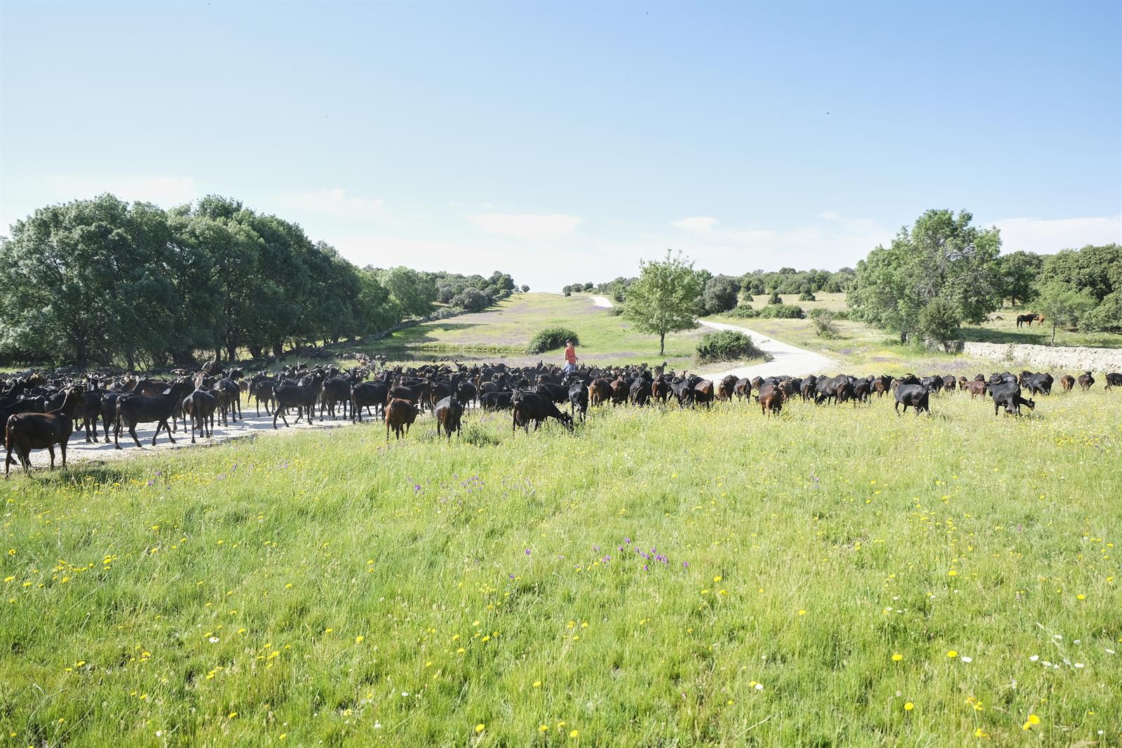 Unión de Uniones pide al próximo ministro de Agricultura revisar la definición de agricultor profesional