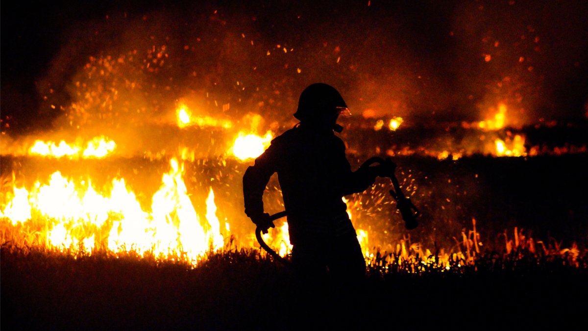 Por qué la IA no puede con los incendios