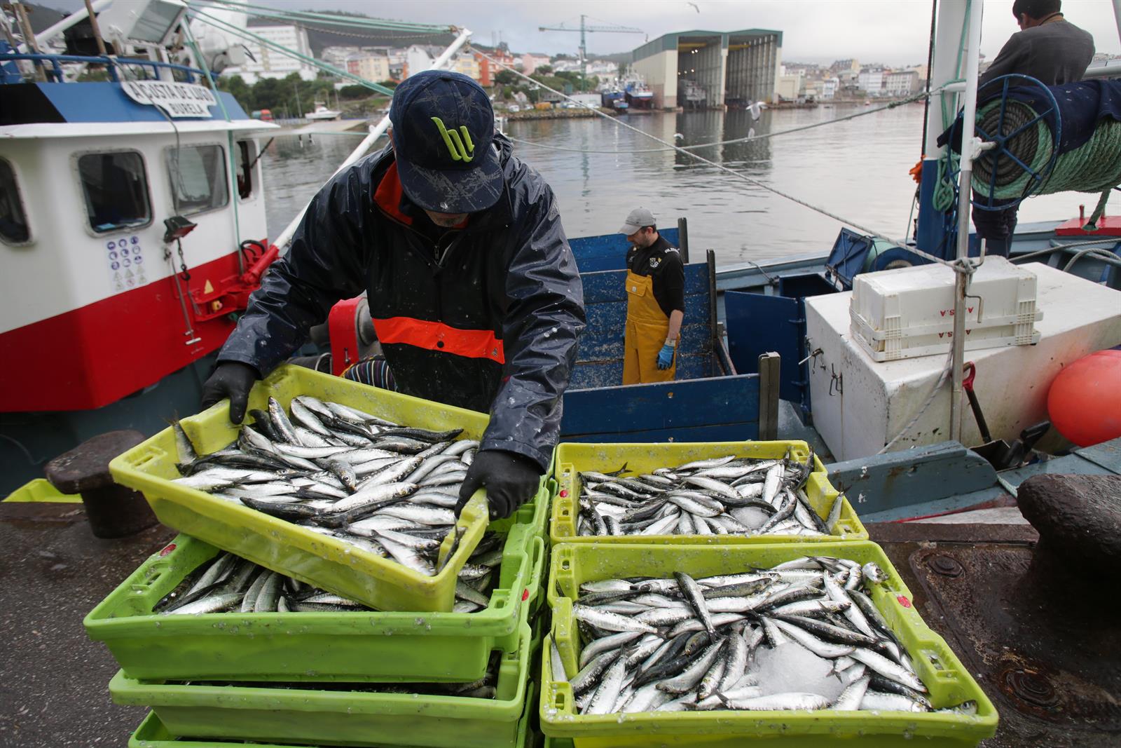 Agricultura publica un documento que recopila el marco normativo fiscal y laboral del sector pesquero
