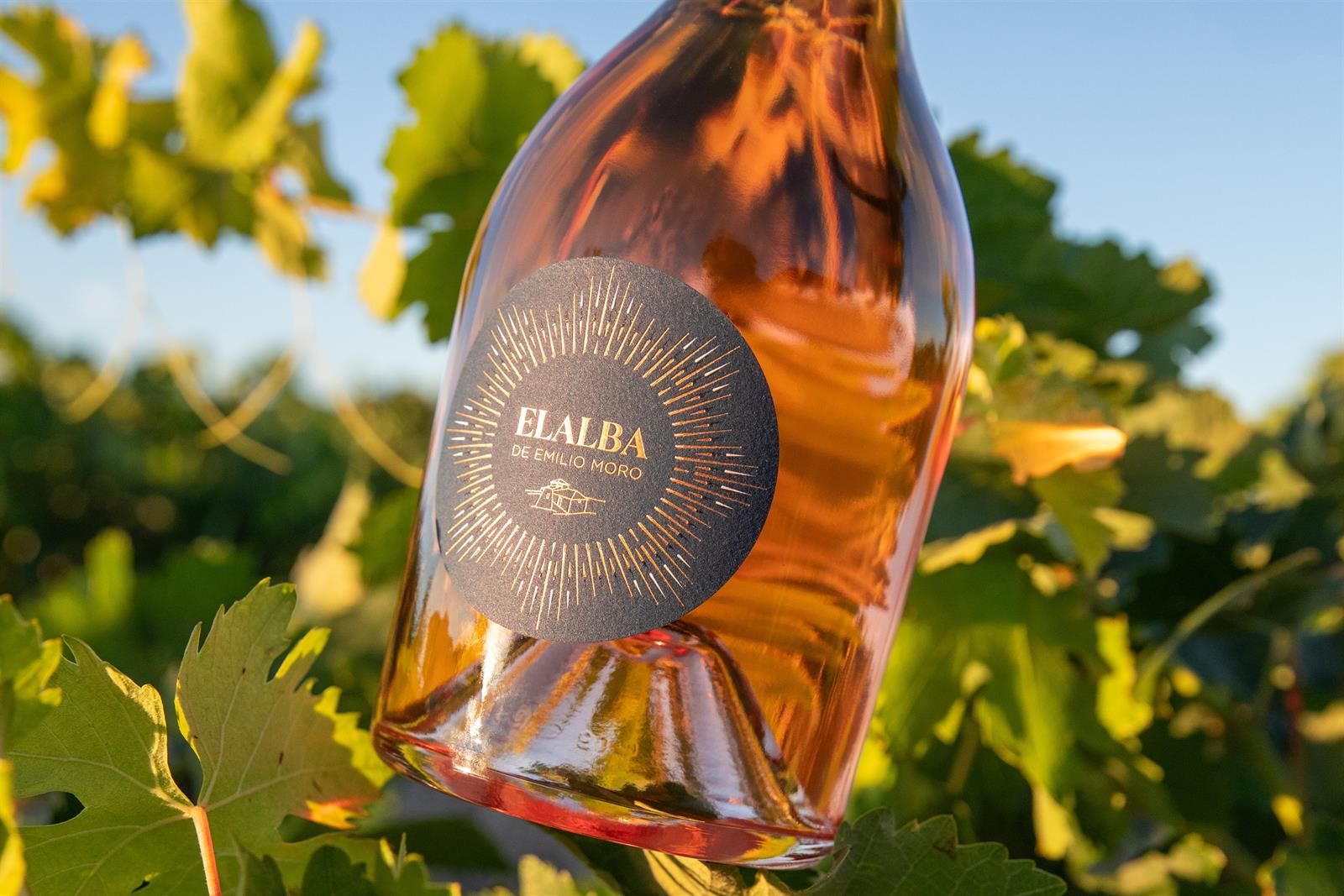 Nace ‘Elalba’, el primer rosado de Bodegas Emilio Moro