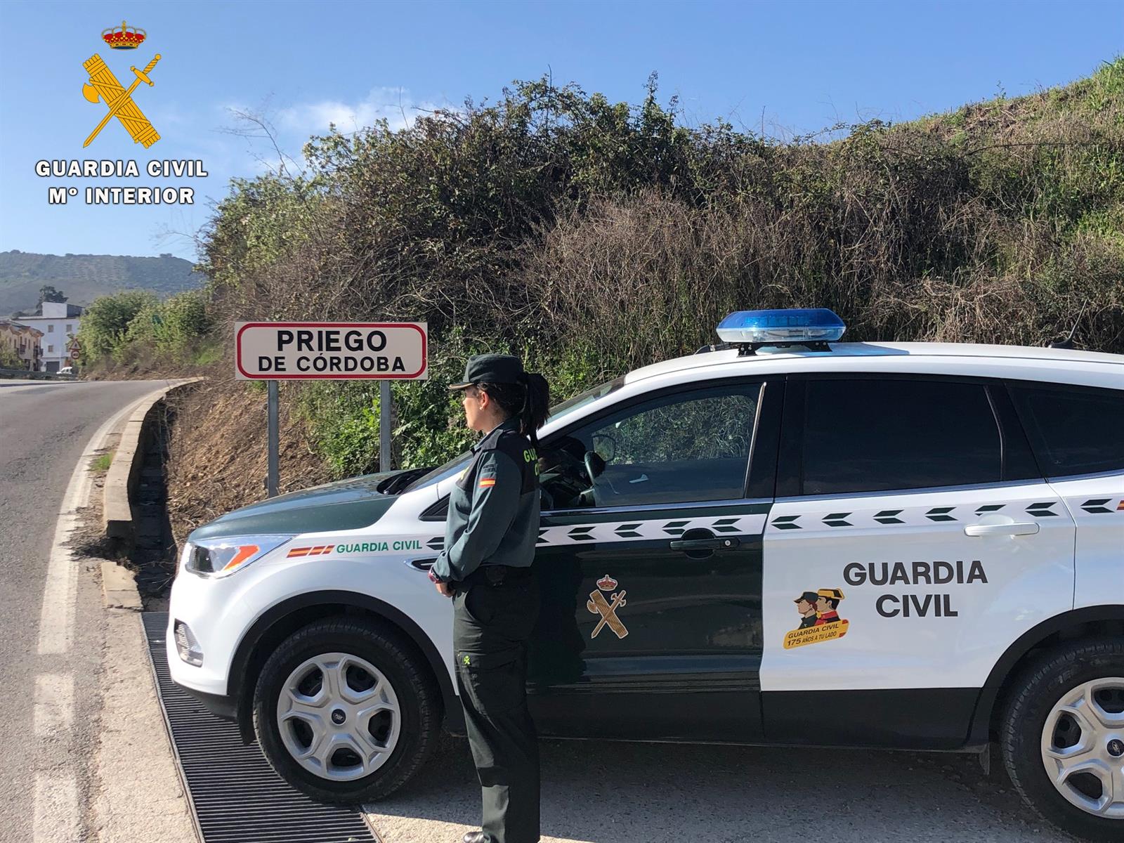 Detenidas dos personas supuestamente relacionadas con el robo de aceite en la almazara de Carcabuey (Córdoba)