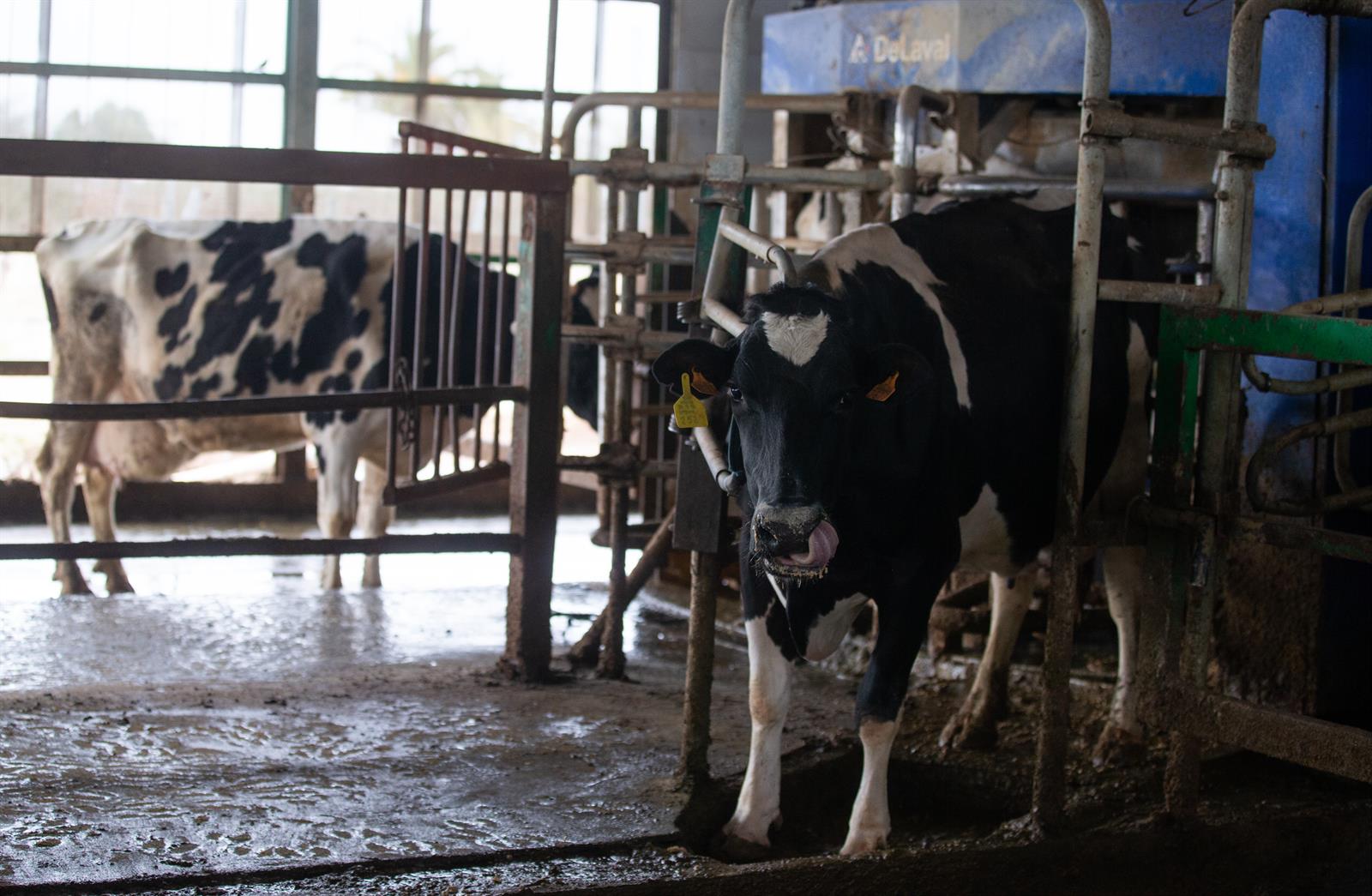 La morosidad de la industria alimentaria cae hasta el 3,2% en 2022
