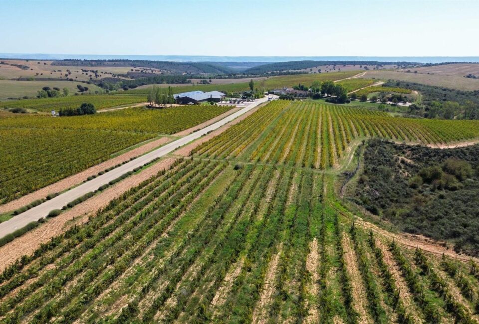 Finca Río Negro amplía las capacidades productivas de su bodega tras invertir 300.000 euros