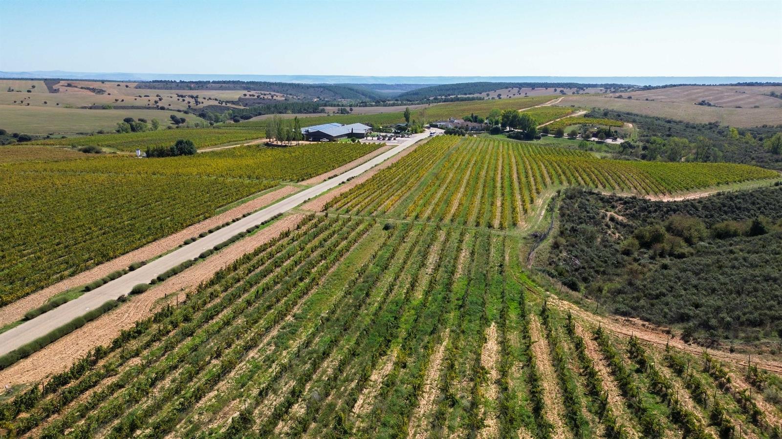 Finca Río Negro amplía las capacidades productivas de su bodega tras invertir 300.000 euros