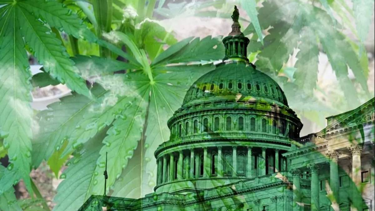 Así es cómo Bank of America, NRA y Mastercard quieren hacer un lobby con la marihuana