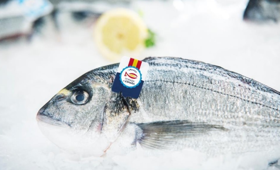 Pescado español, pescado fresco', la campaña para identificar el pescado  100% español en los puntos de venta - Forbes España