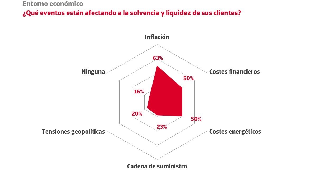 Impagos Significativos 24 De Empresas En 2024