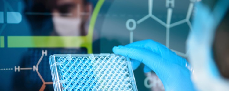 Nice & Green solicita a Oryzon una conversión de obligaciones por 2,7 millones tras suscribir contrato