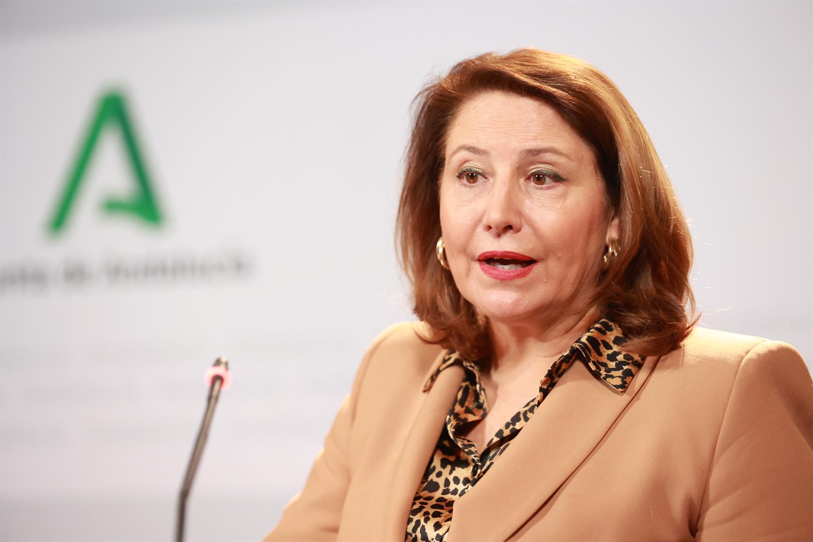 Andalucía respalda la eliminación del IVA del aceite de oliva y reclama bajada en el de carne y pescado