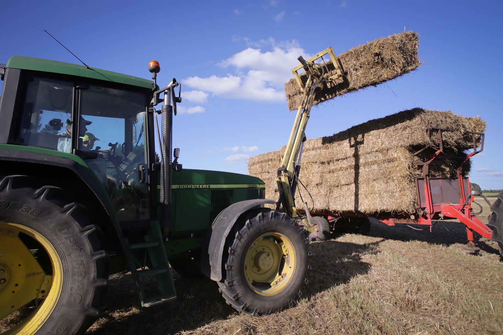 Valero (Sumar) advierte a Planas de la «especulación sobre la tierra» y reclama una ley agrícola «social»