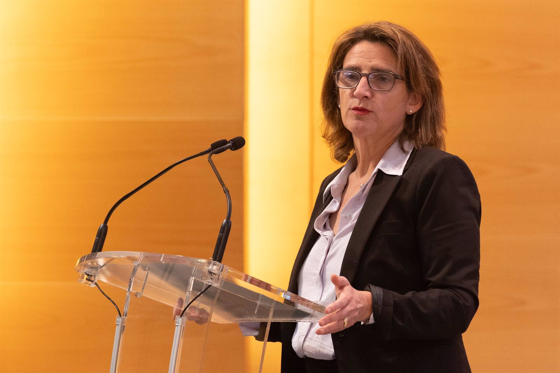 Ribera pide «solidaridad y empatía» con el campo español, pero niega impacto negativo de la Agenda Verde