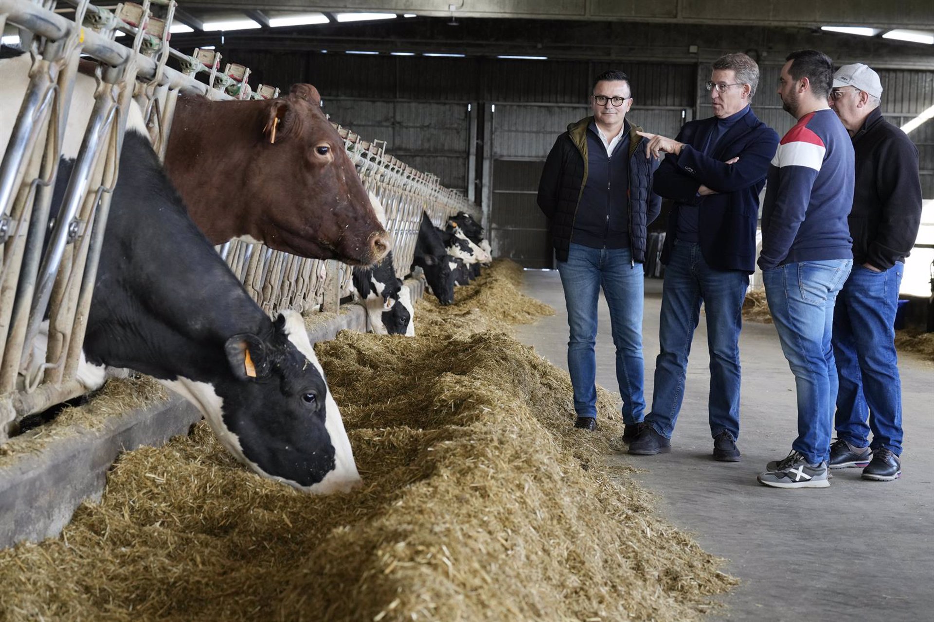 La Xunta se pone «al lado» de las tractoradas y exige a Planas «liderar ese movimiento» junto a agricultores