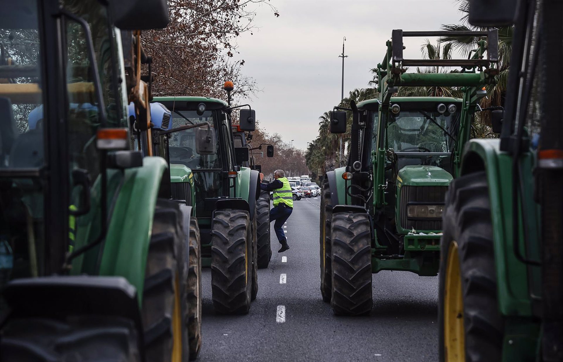 La Generalitat Valenciana exige al Gobierno «endurecimiento» ante «ataques» que sufren la agricultura y pesca