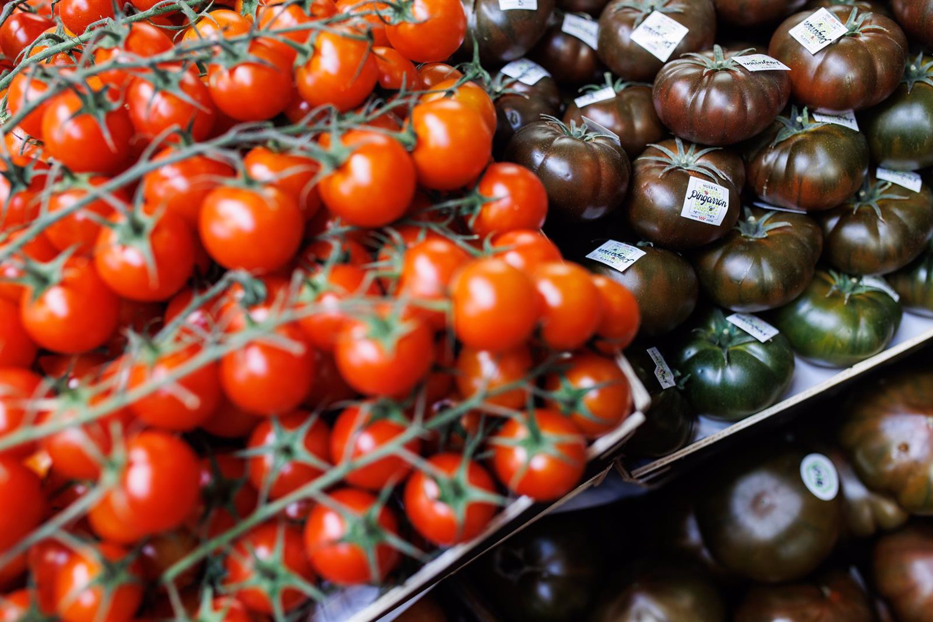 UPA-UCE Extremadura denuncia a industrias tomateras por «saltarse la ley» y pagar precios por debajo de costes