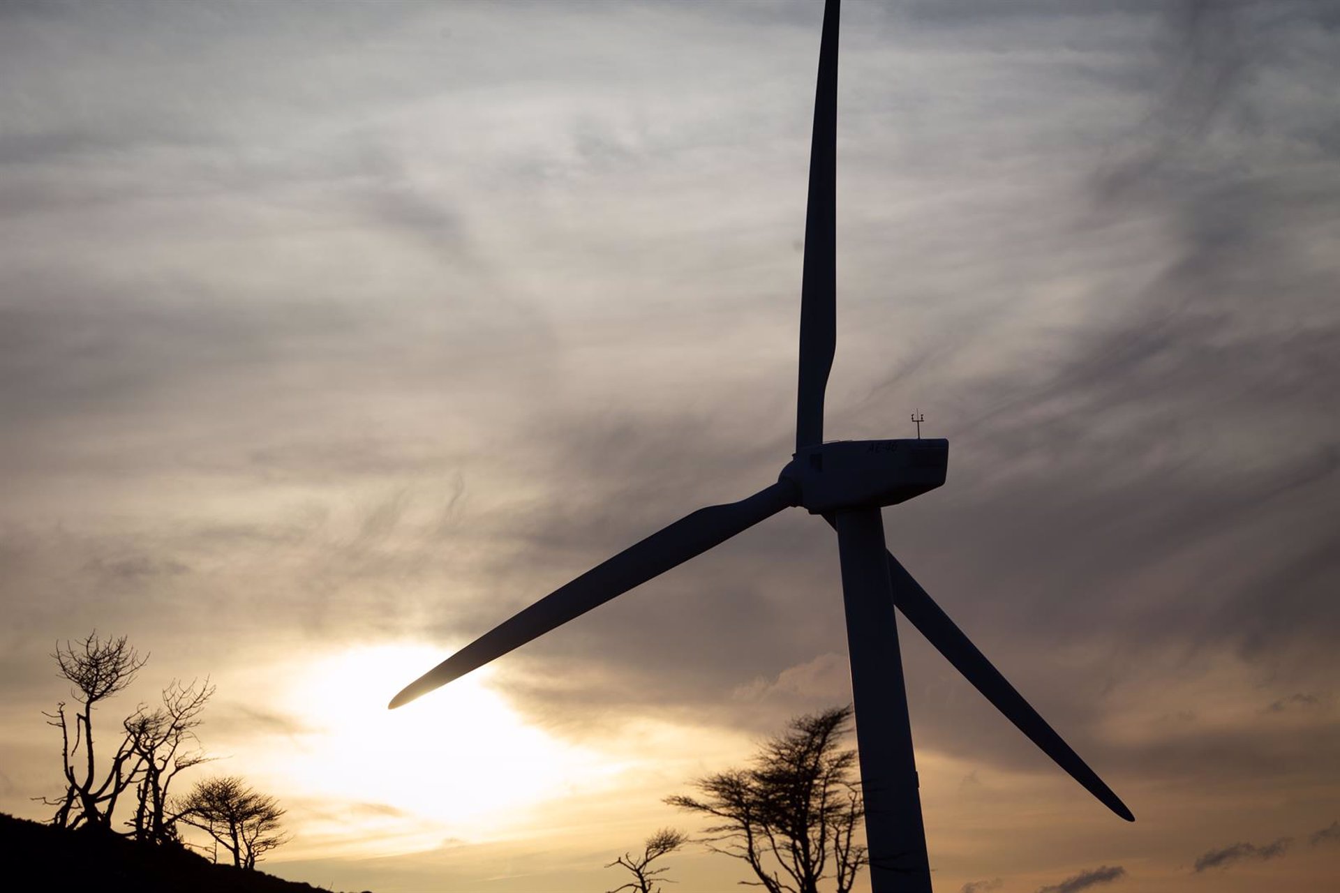 WindEurope mostrará en el BEC el «valor del viento» ante el creciente optimismo en el sector eólico europeo